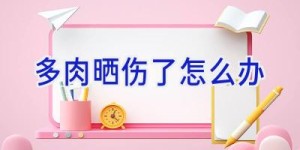 多肉晒伤了怎么办