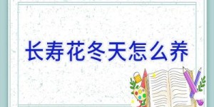 长寿花冬天怎么养