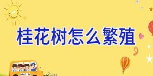 桂花树怎么繁殖