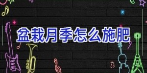 盆栽月季怎么施肥