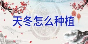 天冬怎么种植