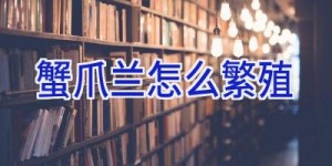 蟹爪兰怎么繁殖