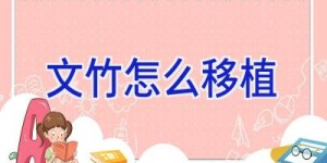 文竹怎么移植