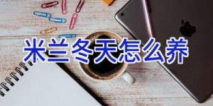 米兰冬天怎么养