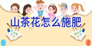 山茶花怎么施肥