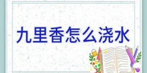 九里香怎么浇水