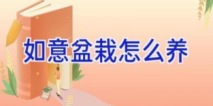 如意盆栽怎么养