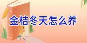 金桔冬天怎么养