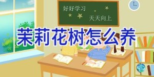 茉莉花树怎么养