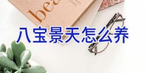 八宝景天怎么养