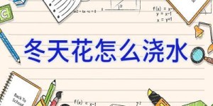 冬天花怎么浇水