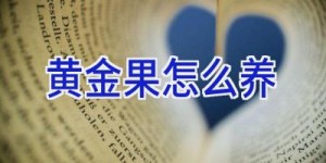 黄金果怎么养