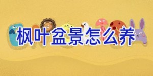 枫叶盆景怎么养