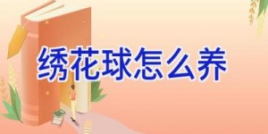 绣花球怎么养