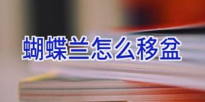 蝴蝶兰怎么移盆