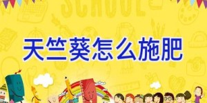 天竺葵怎么施肥