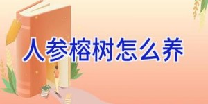 人参榕树怎么养