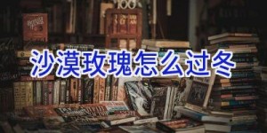 沙漠玫瑰怎么过冬