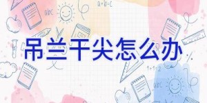 吊兰干尖怎么办
