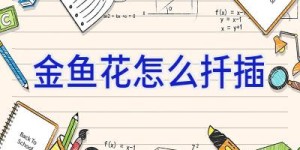金鱼花怎么扦插