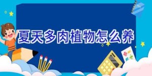 夏天多肉植物怎么养