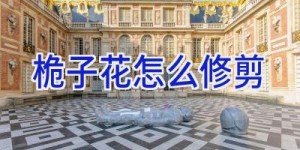 桅子花怎么修剪