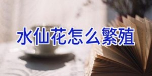 水仙花怎么繁殖