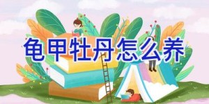 龟甲牡丹怎么养