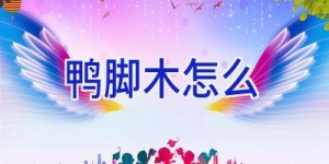 鸭脚木怎么