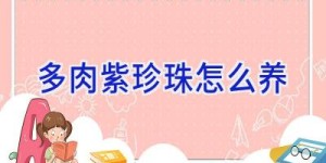 多肉紫珍珠怎么养