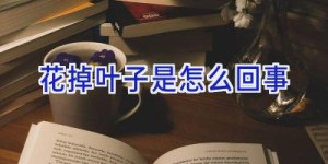 花掉叶子是怎么回事