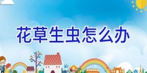 花草生虫怎么办