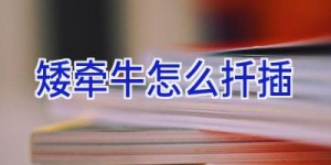 矮牵牛怎么扦插