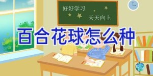 百合花球怎么种