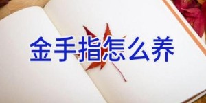 金手指怎么养