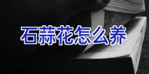 石蒜花怎么养