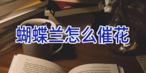 蝴蝶兰怎么催花