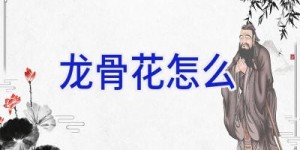 龙骨花怎么