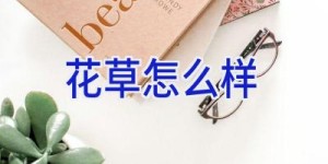 花草怎么样