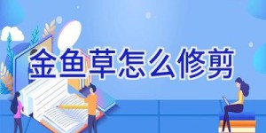 金鱼草怎么修剪