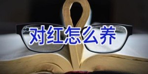对红怎么养