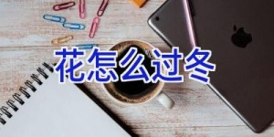 花怎么过冬