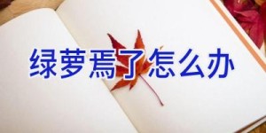 绿萝焉了怎么办