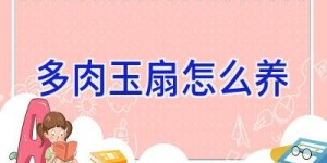 多肉玉扇怎么养