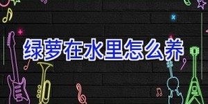 绿萝在水里怎么养