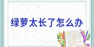 绿萝太长了怎么办