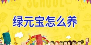 绿元宝怎么养
