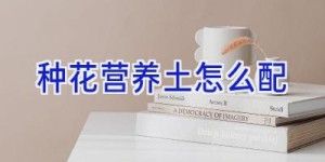 种花营养土怎么配