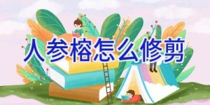 人参榕怎么修剪