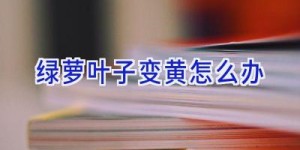 绿萝叶子变黄怎么办